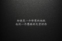 开云体育app-德容的最后一击，2026世界杯上，保加利亚如何在绝境中改写命运