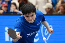 开云体育官网-奥地利乒乓球队轻取瑞典乒乓球队，樊振东制霸全场的简单介绍