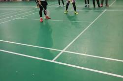 开云体育-包含英格兰羽毛球队翻盘日本羽毛球队，马琳制霸全场的词条