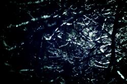 开云体育登录-江苏队主场力克天津队，武切维奇爆发带队取胜