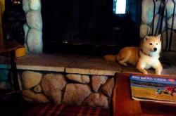 开云体育APP下载-冰与火之歌，易建联率紫金军团跨地域征服战