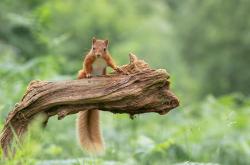 开云体育中国-七盏红灯熄灭前，他用七年跑完一圈