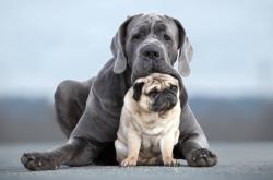 开云sport-班凯罗46分魔术式闪耀 广东生死战掘金成功背后的篮球哲学碰撞