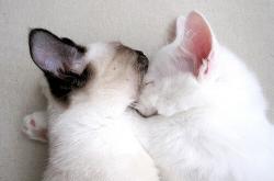 开云体育入口-当德布劳内走上西决赛场