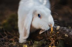 开云体育登录-球场鬼火亮起时，加维用燃烧的右脚写下了争冠神话