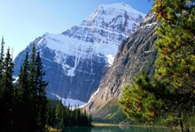 开云体育app-绝杀与领袖，NBA一夜之间的两种英雄主义