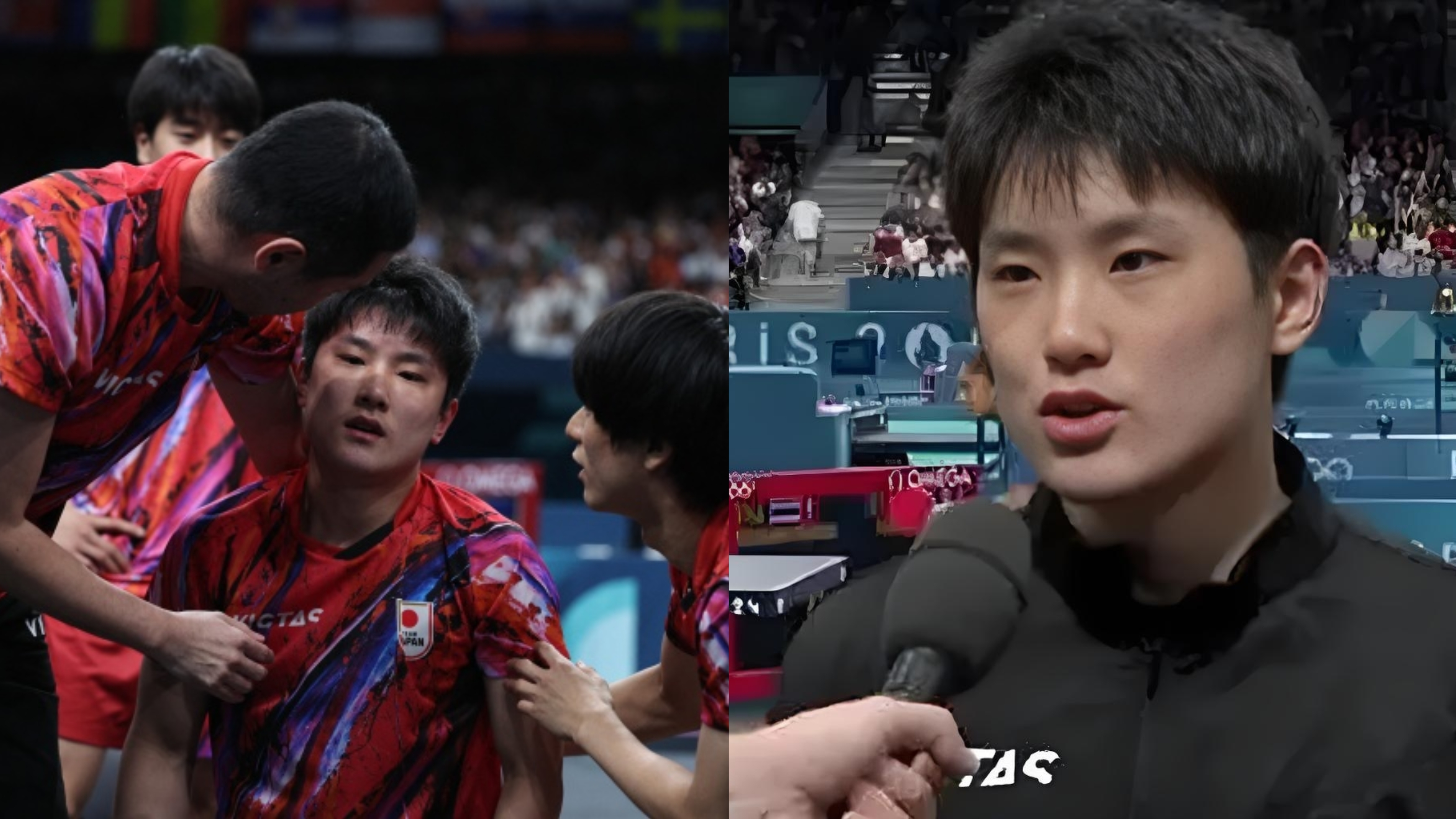 包含韩国队完胜英格兰队，张本智和高光表现的词条