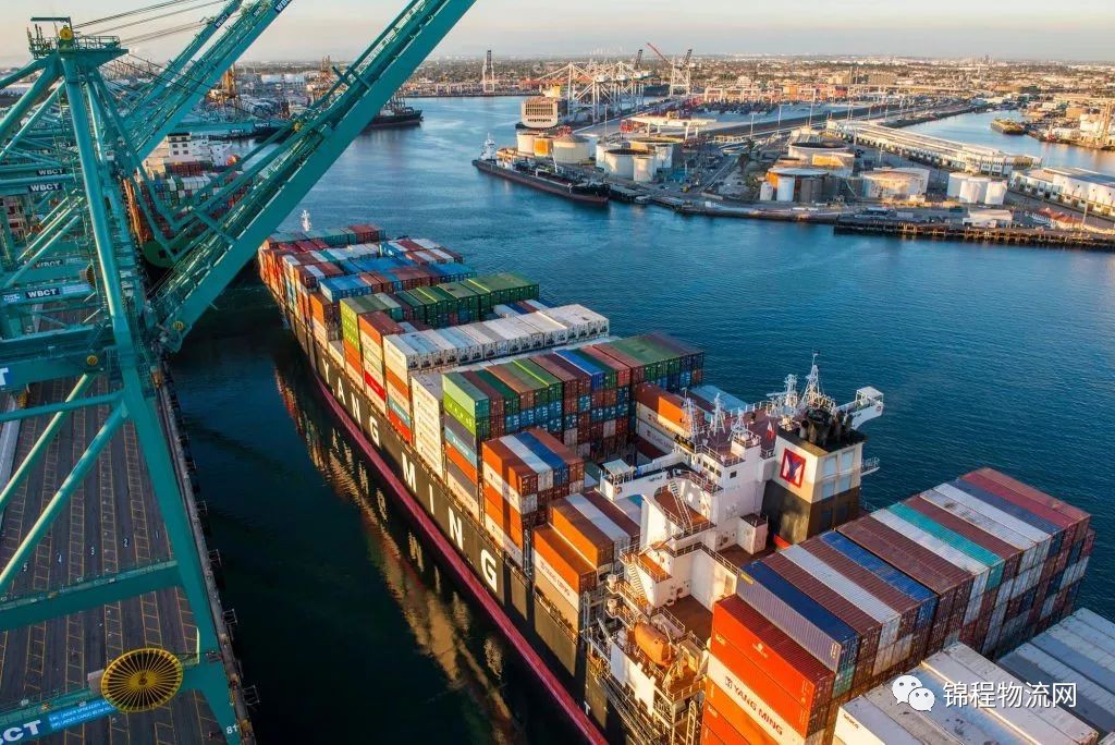 即时盘口选手刷新世界纪录，震撼全场