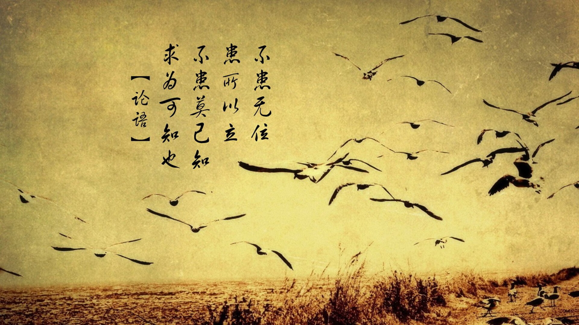 南洋之巅的橙色风暴,印尼队战术碾压泰国,黄鸭组合惊鸿一击定乾坤