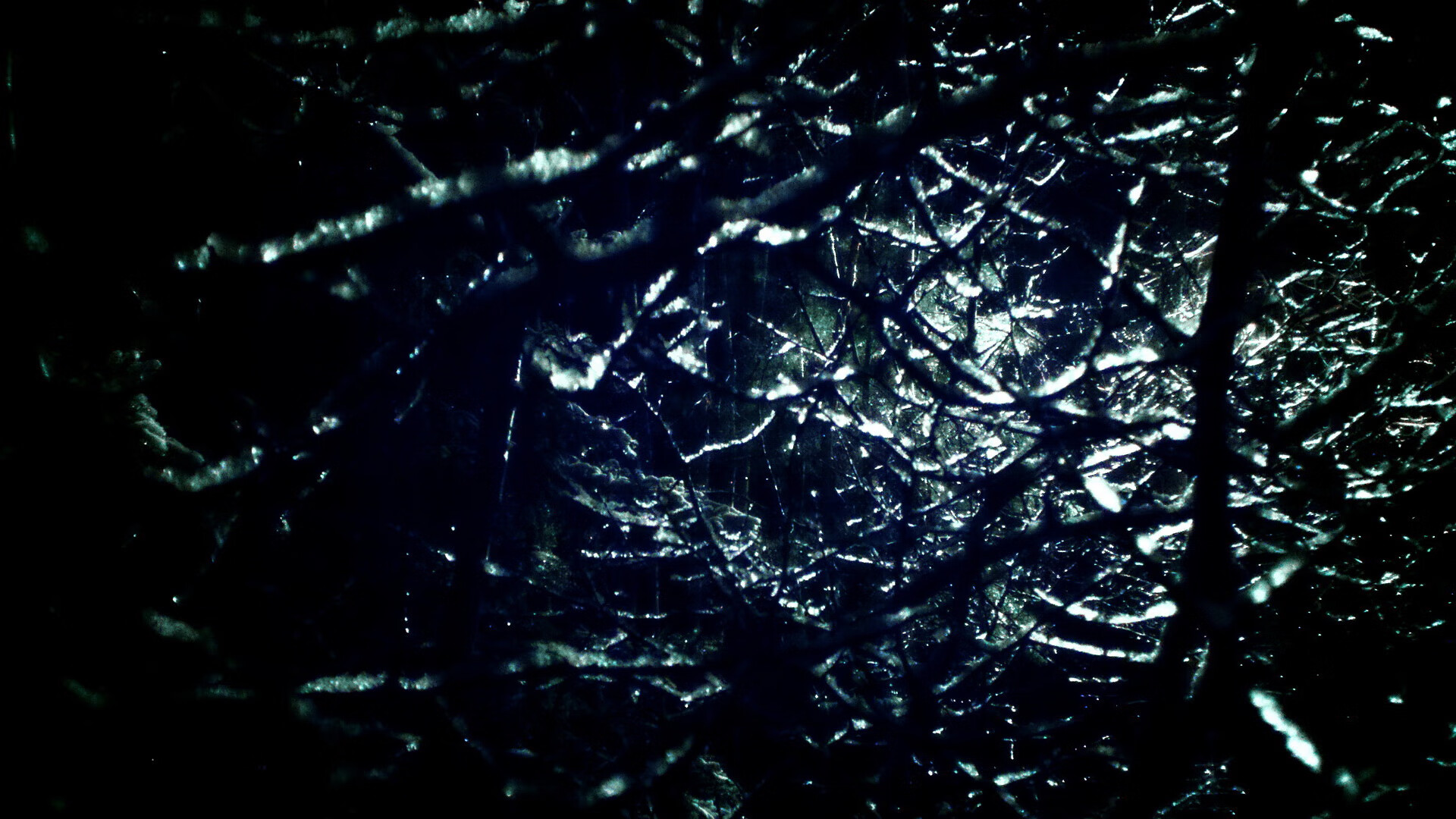 江苏队主场力克天津队，武切维奇爆发带队取胜