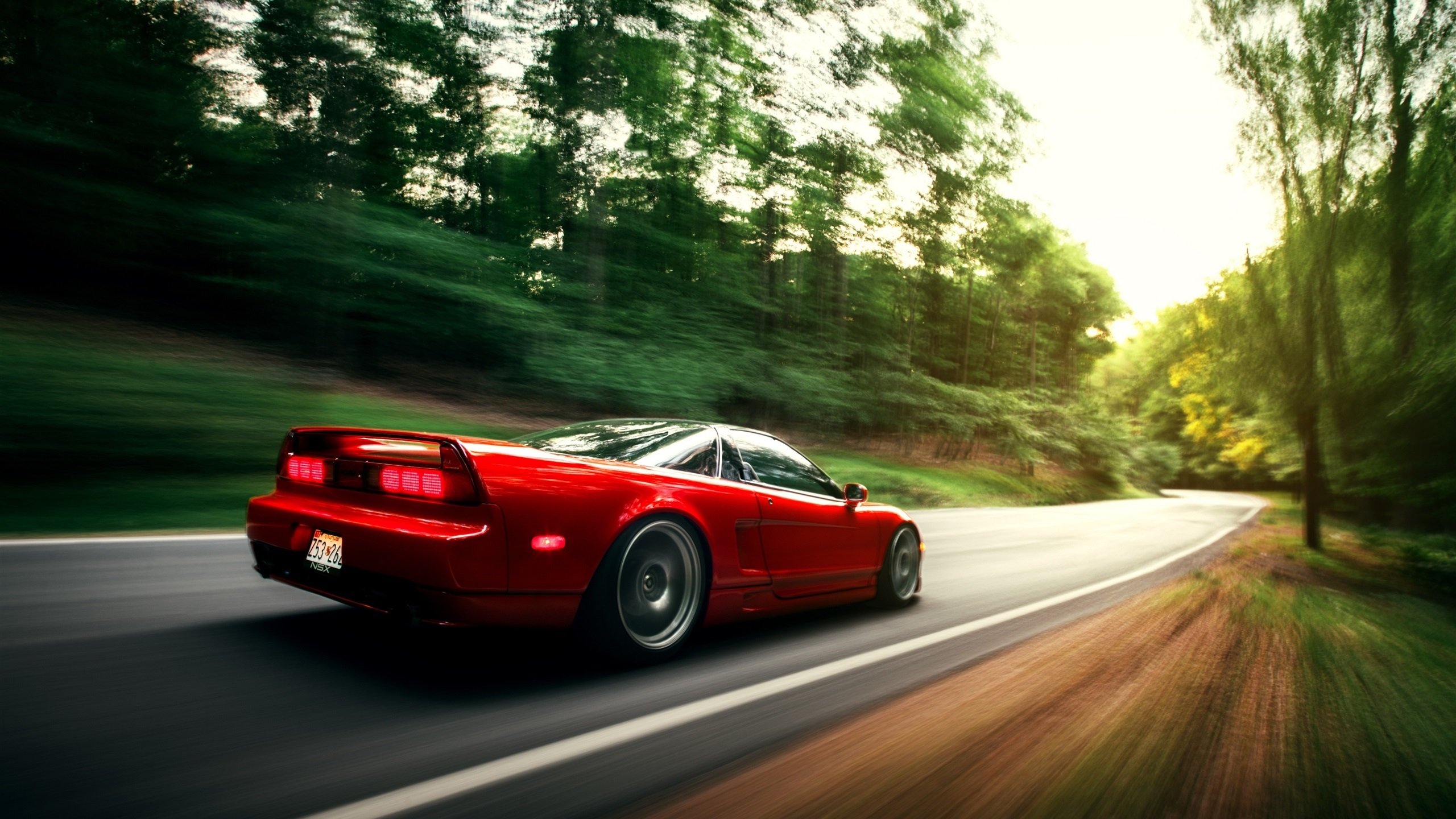 东南风暴席卷北境，福建队完胜猛龙，布伦森状态火热引领胜利