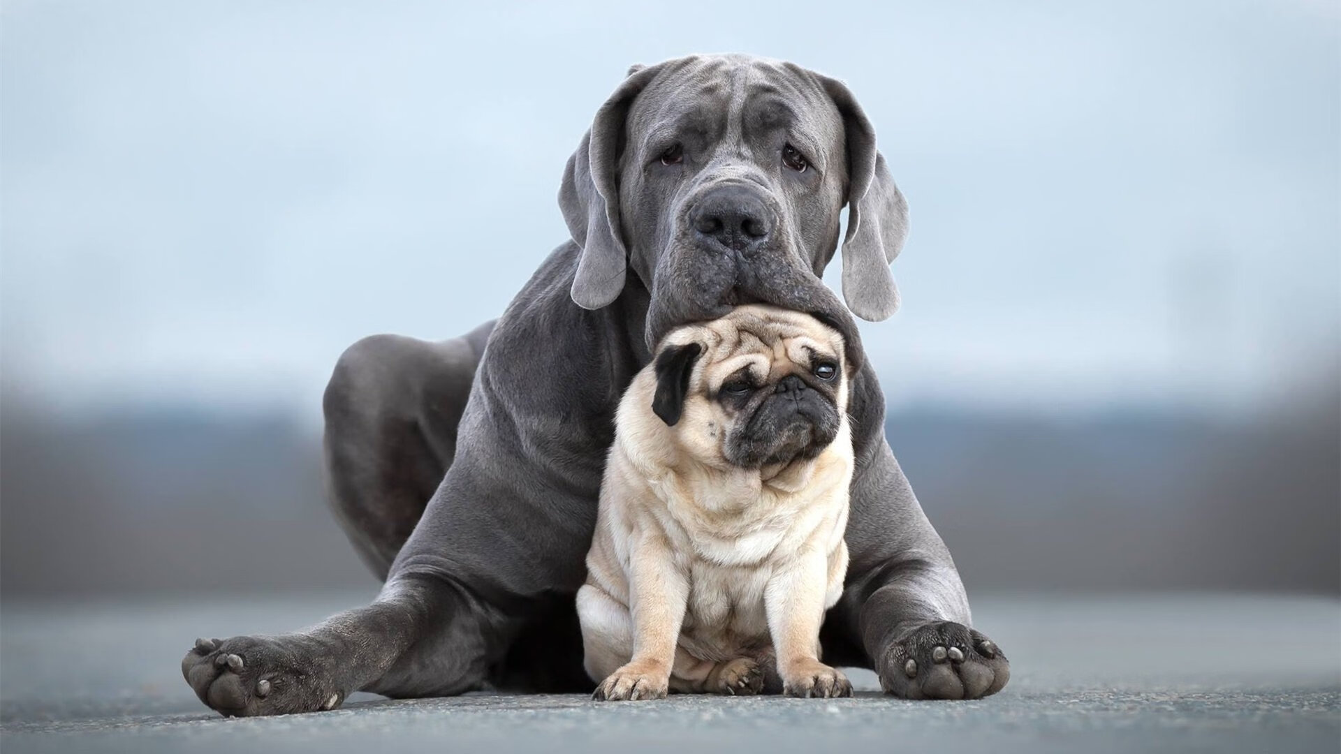 班凯罗46分魔术式闪耀 广东生死战掘金成功背后的篮球哲学碰撞