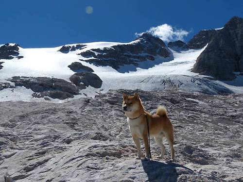 决战时刻,从基辅、基多到安联球场,那些改写命运的突围与接管