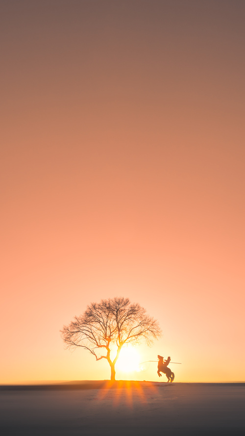 双线制霸，火箭横扫森林狼，浓眉欧冠半决赛独揽乾坤