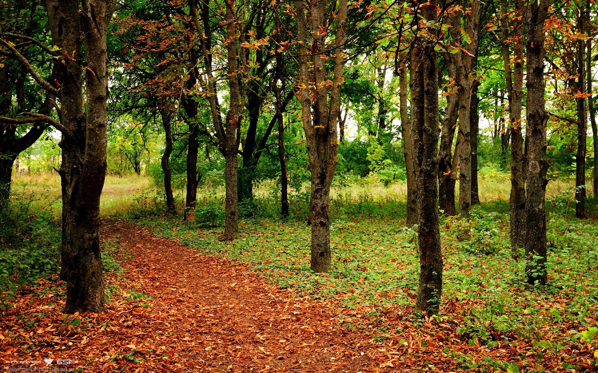 双线叙事,在慕尼黑与迈阿密见证绝对掌控