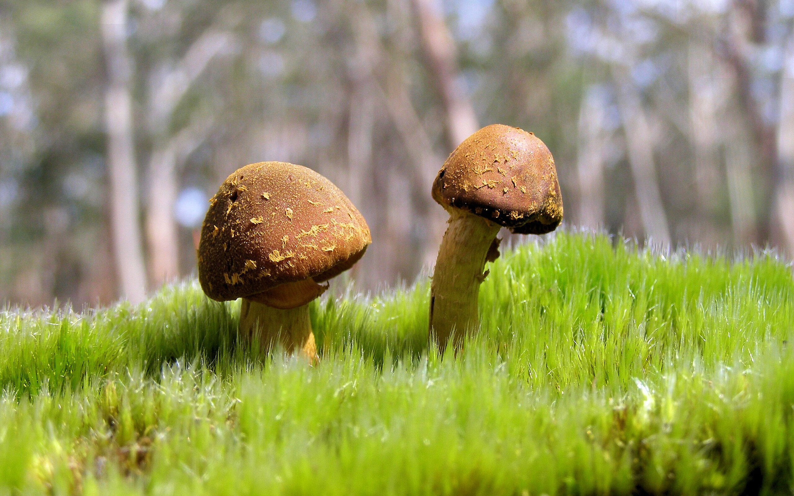 今夜之后，请叫他奥运会的门卫