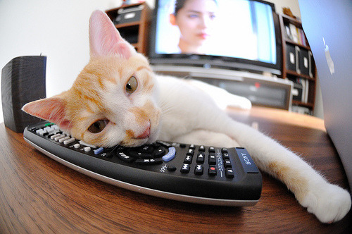 纽约之夜,约基奇以雷霆之势碾压尼克斯防线