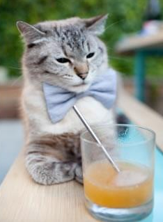 奇迹一吻，巴西悬崖边的艺术绝杀，巴斯托尼的硬核心脏