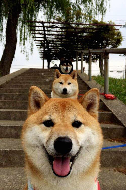 玻利维亚高原的足球魔法,马黛茶与采石场的胜利