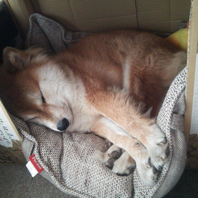 唯一性的双重奏，F1街道赛的生死时速与76人队的节奏魔术