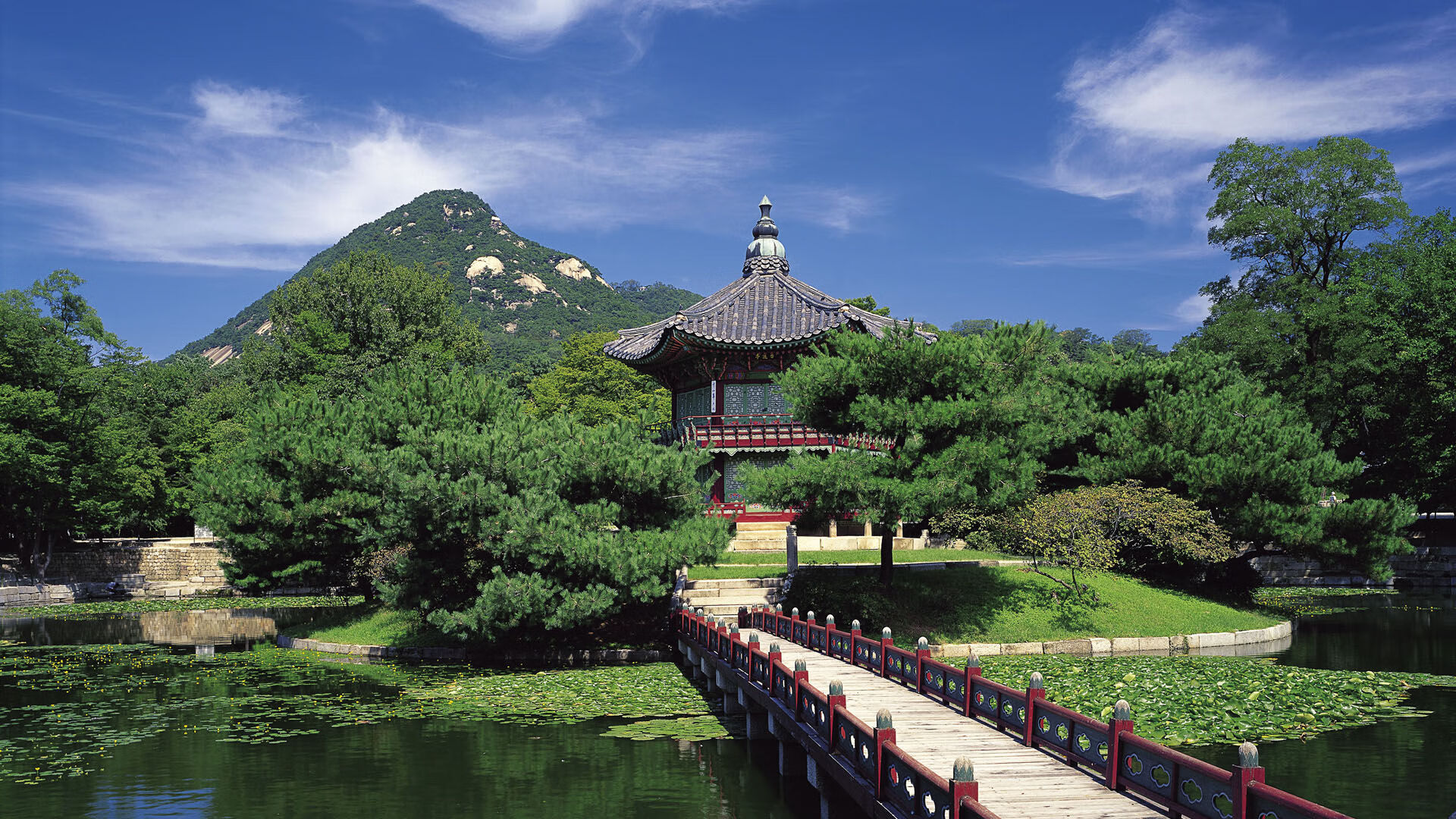 绿茵抢七战，荷兰队用全攻全守交响乐粉碎挪威维京防线