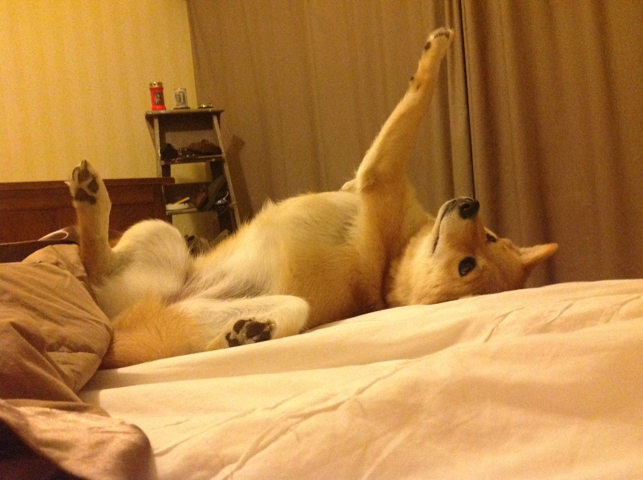 时空赛场，当奥运周期的齿轮咬合足球命运—巴西黄金世代于关键焦点战终结国际米兰纪元