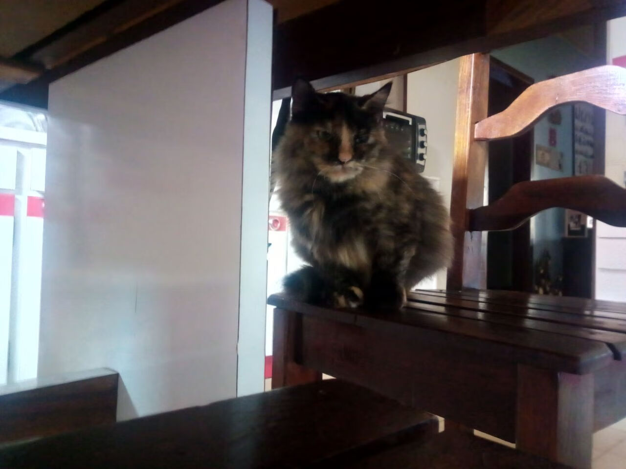 双重狙击，鹈鹕决胜局带走马刺，杰伦格林关键时刻挺身而出