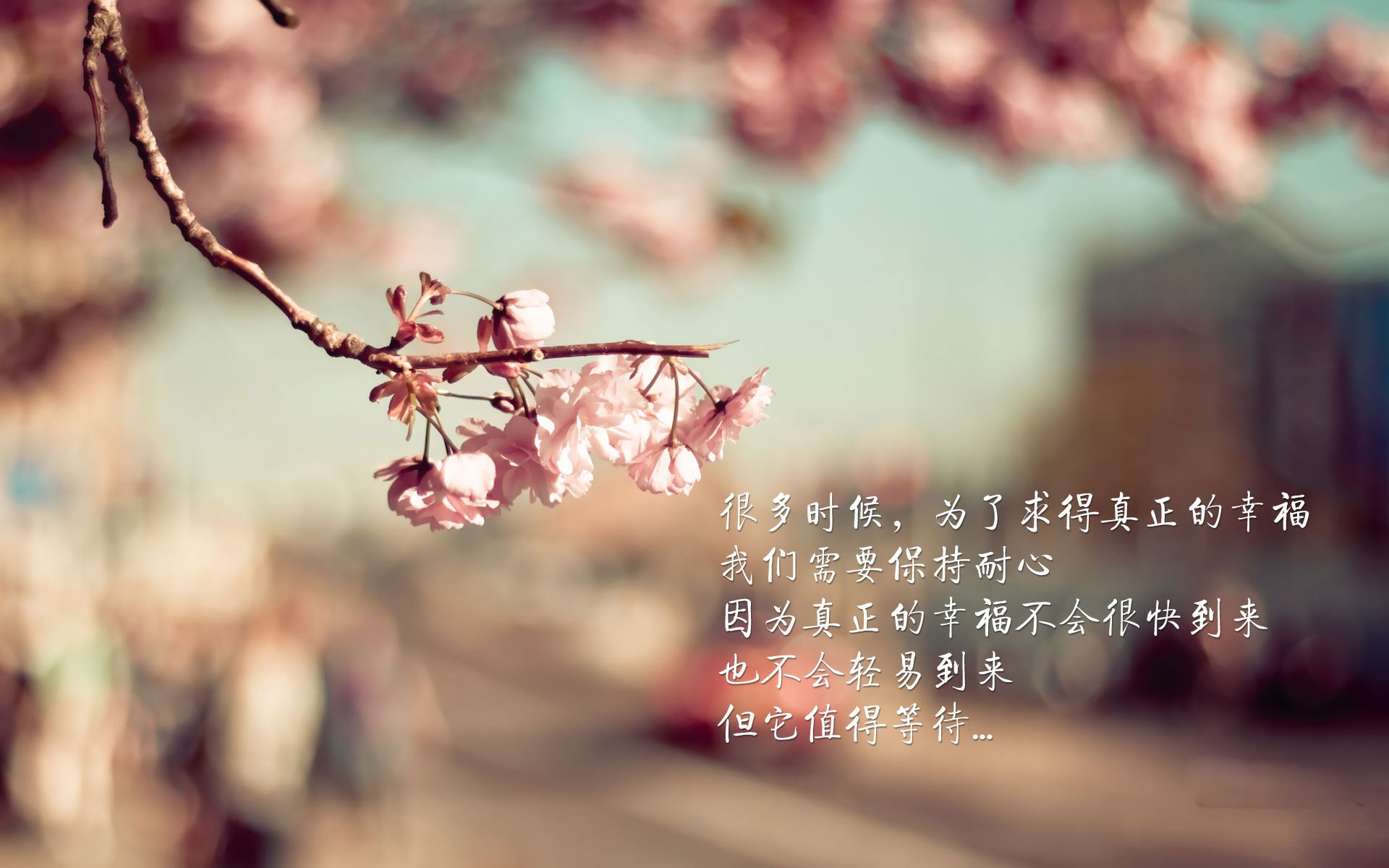 绝境破晓,当袋鼠军团咬碎斗牛士,凯恩一剑封喉改写世界杯生死战 临场神调度铸就唯一剧本,压制与反压制中的战术美学)