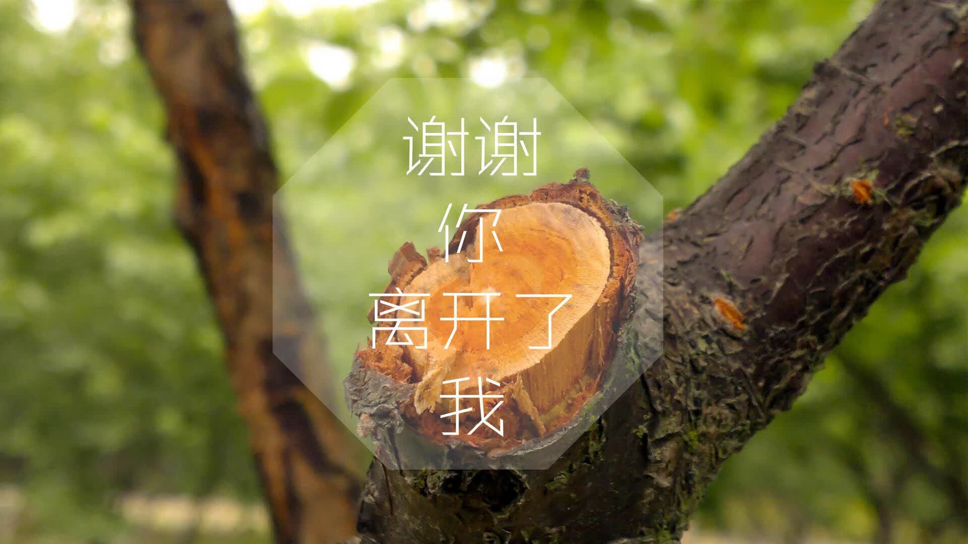 冰川与枫叶的终局，2026世界杯生死战，瑞士完胜加拿大，姆巴佩致命一击定格永恒